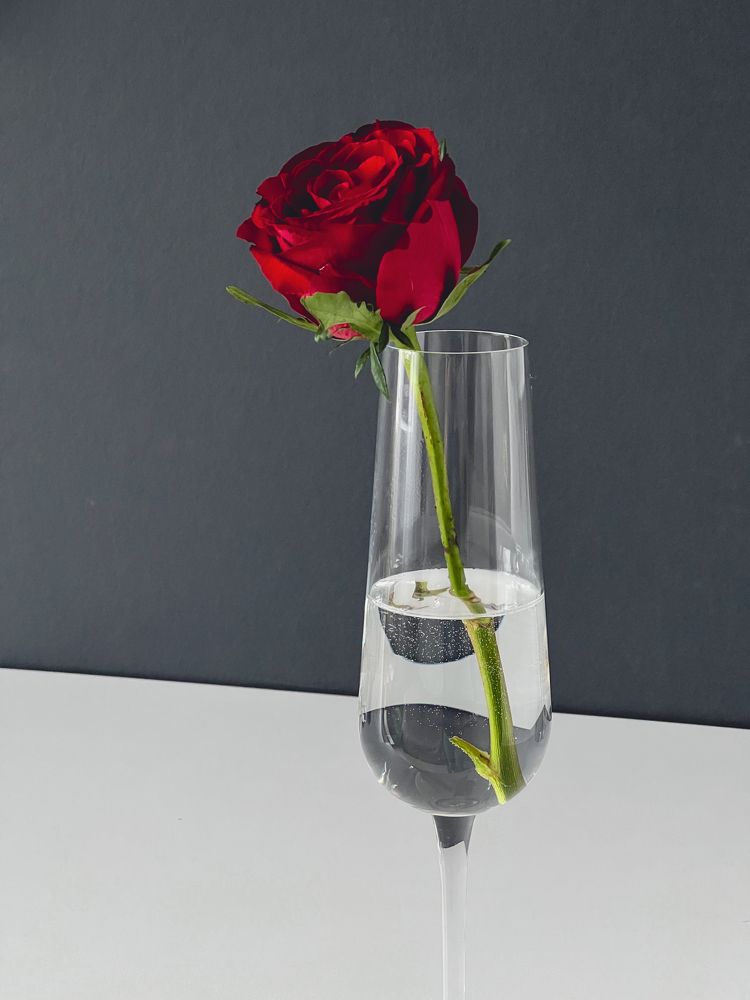 Photograph by Марина