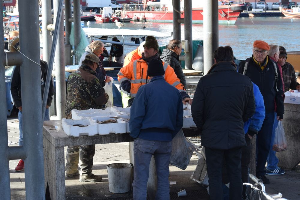 Photograph by Galina Leskova