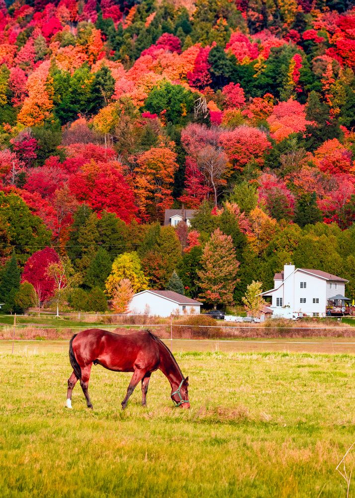 Photograph by Vaibhav Rege