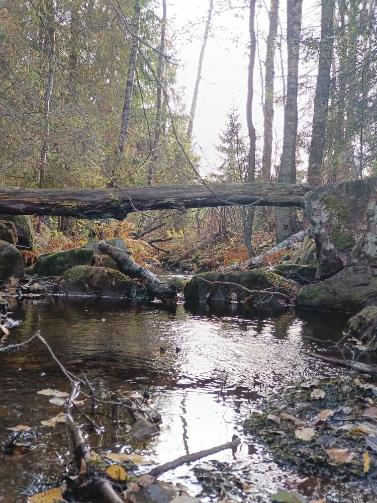 Photograph by Елена Маликова