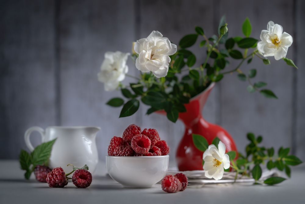 Фотография автора Olga Yar