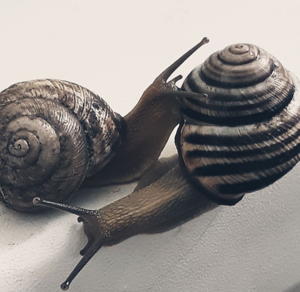 Photograph by Olga Александрова