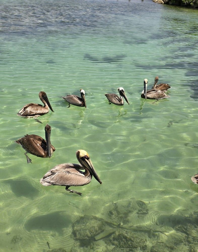 Photograph by Анастасия