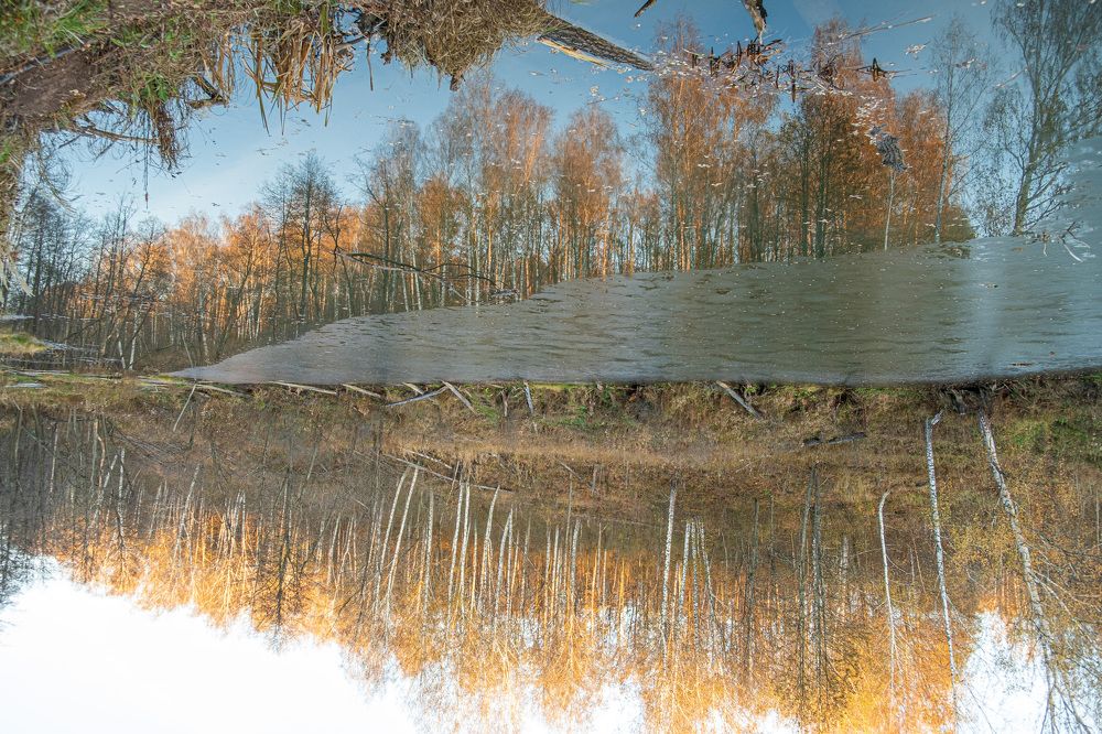 Photograph by Альберт Габбасов