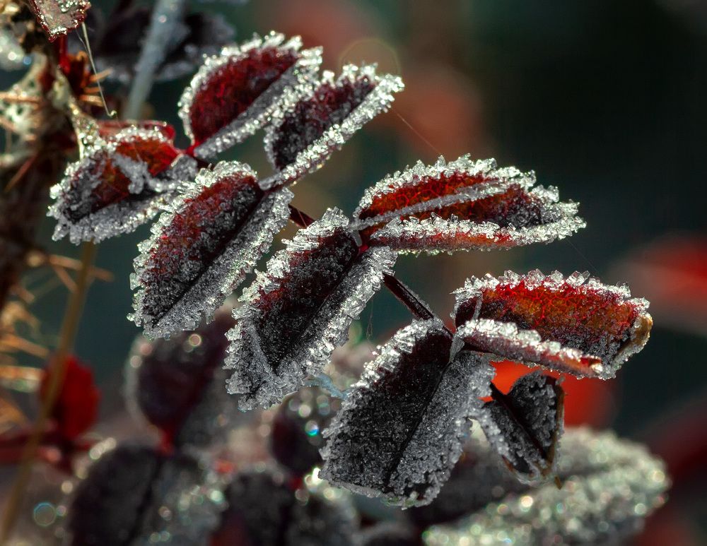 Photograph by Владимир Архипов