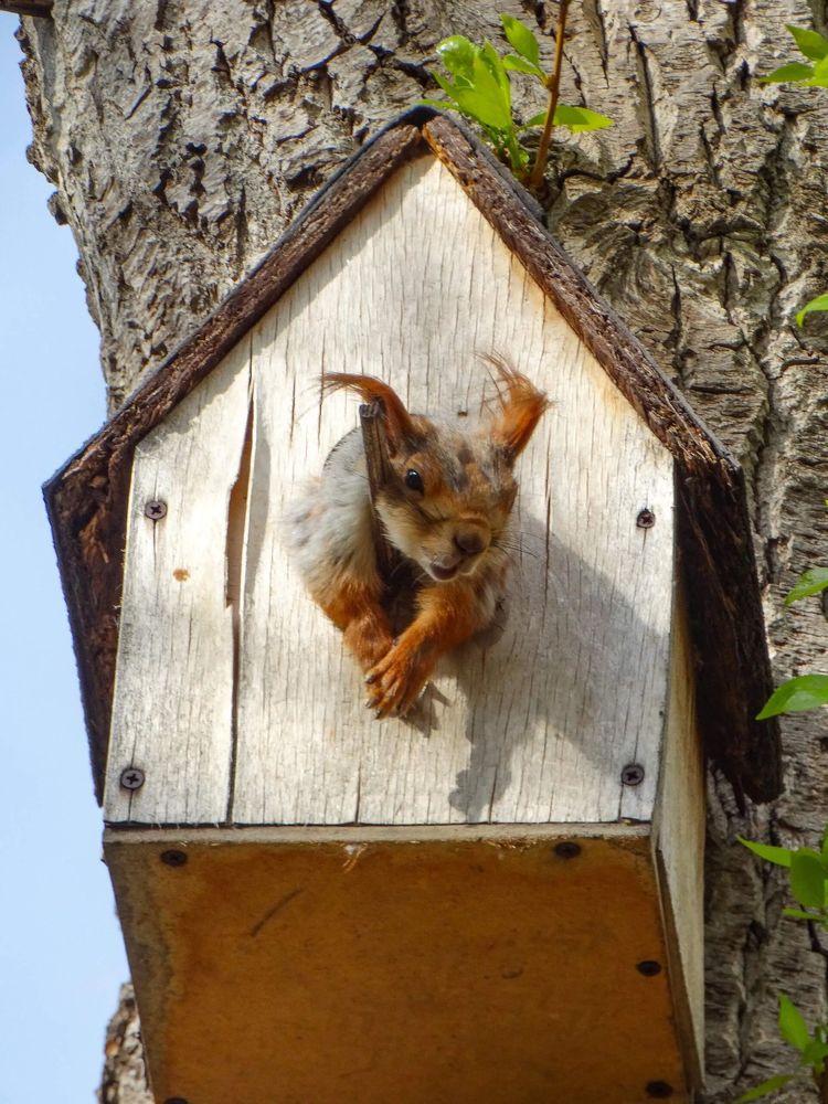 Photograph by Анжелика Трошина