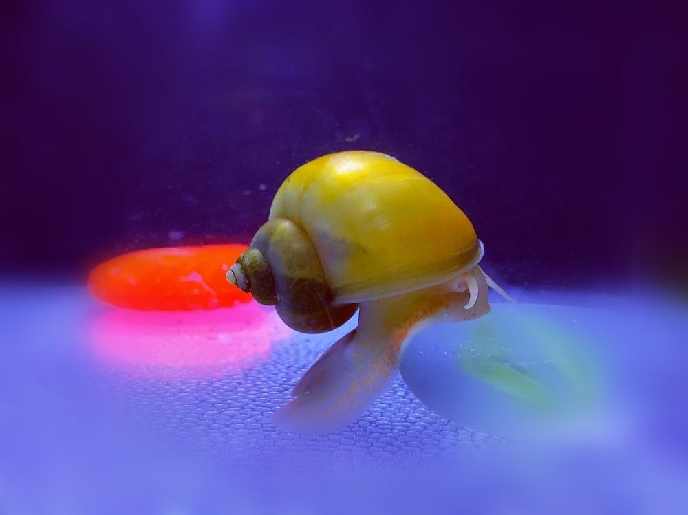 Photograph by Виктория Воронкова