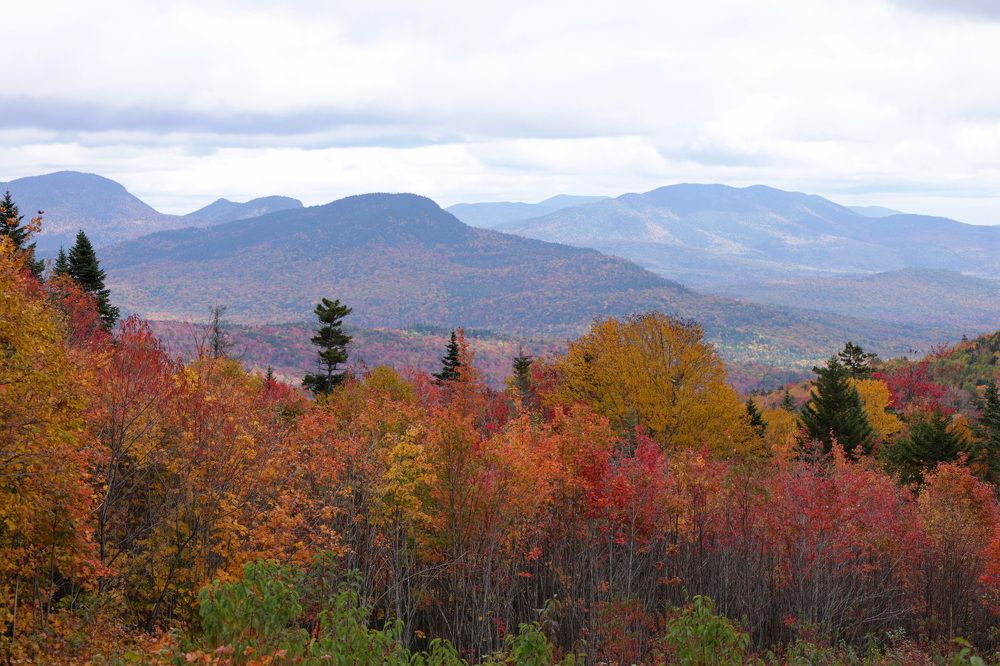 Photograph by Tatiana Serova