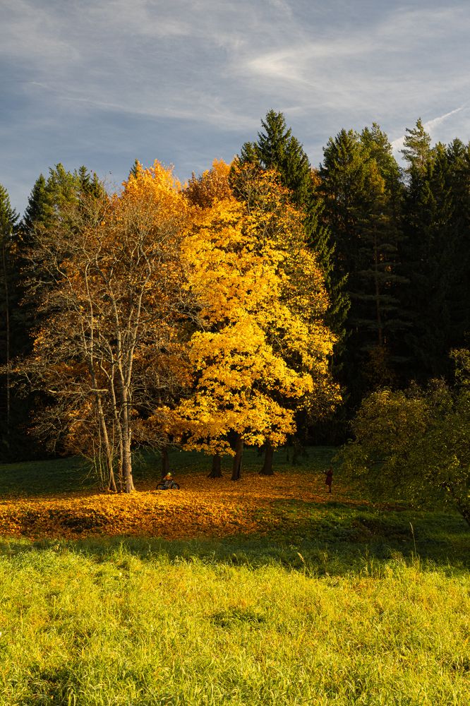 Photograph by Илья Кулаков