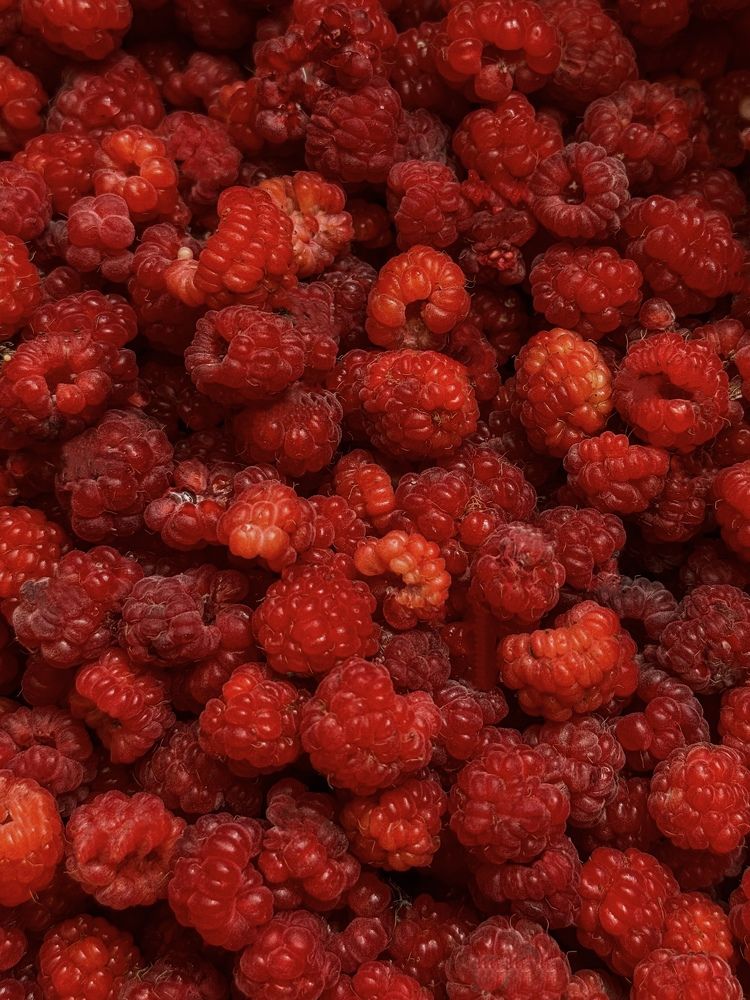 Photograph by Татьяна Зенина