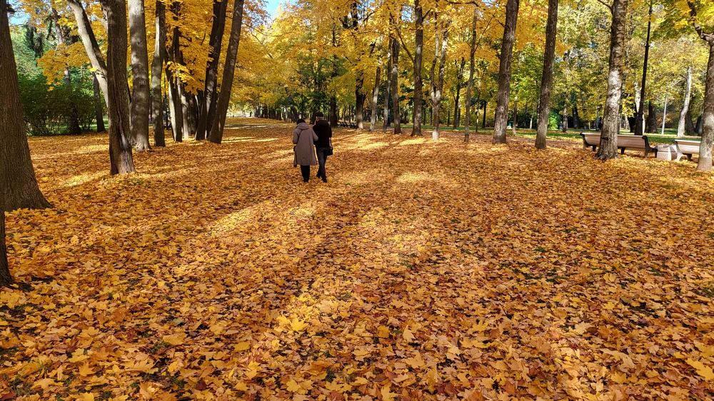 Photograph by Игорь