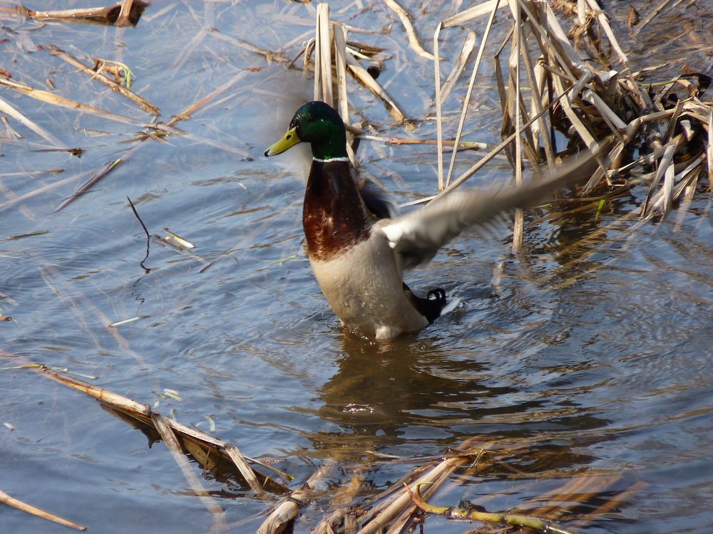 Photograph by Galina Leskova