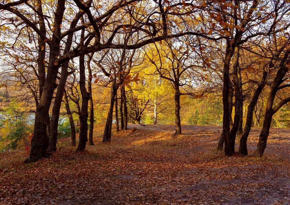 Photograph by София Стрыгина