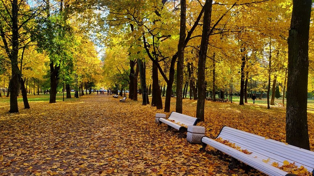 Photograph by Игорь