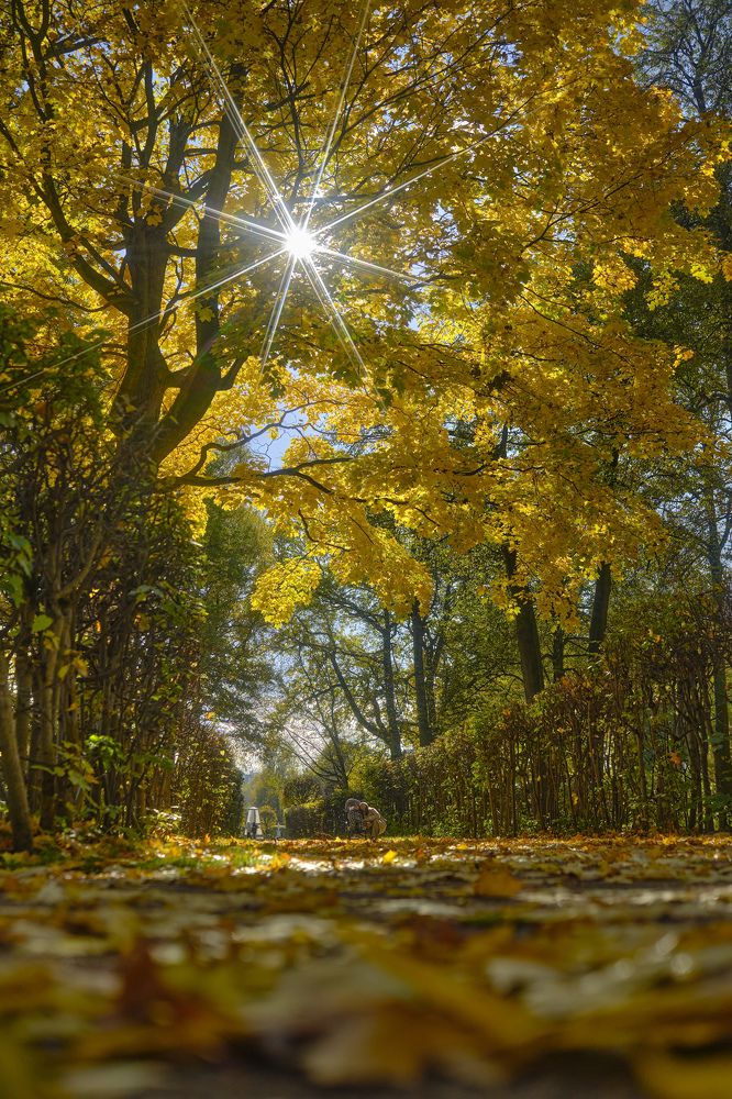 Осень в московской усадьбе Кусково.