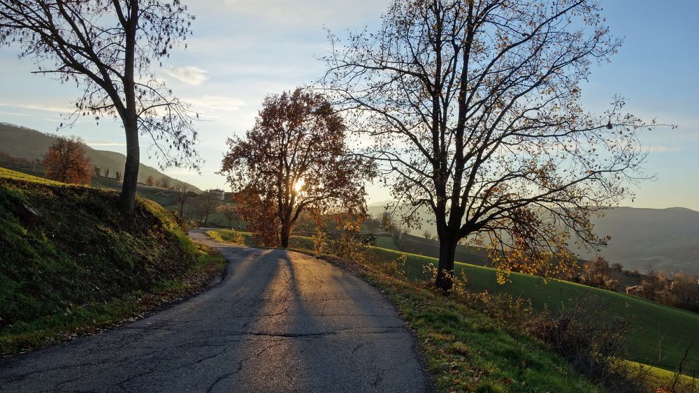 Фотография автора Liliana C.