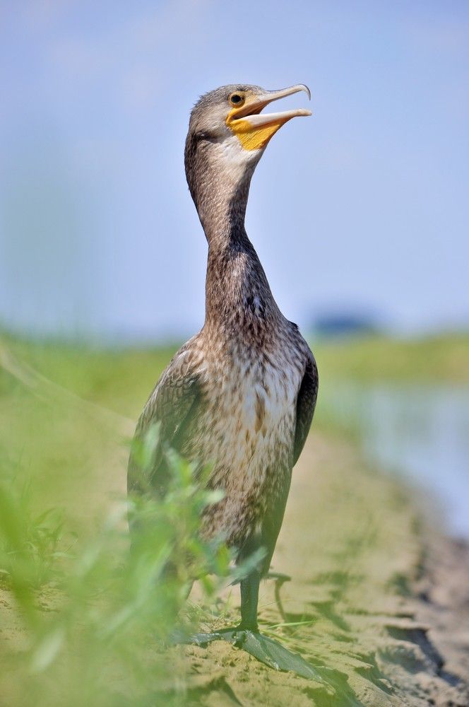 Photograph by Наталия Захарова