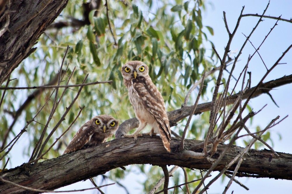 Photograph by Наталия Захарова