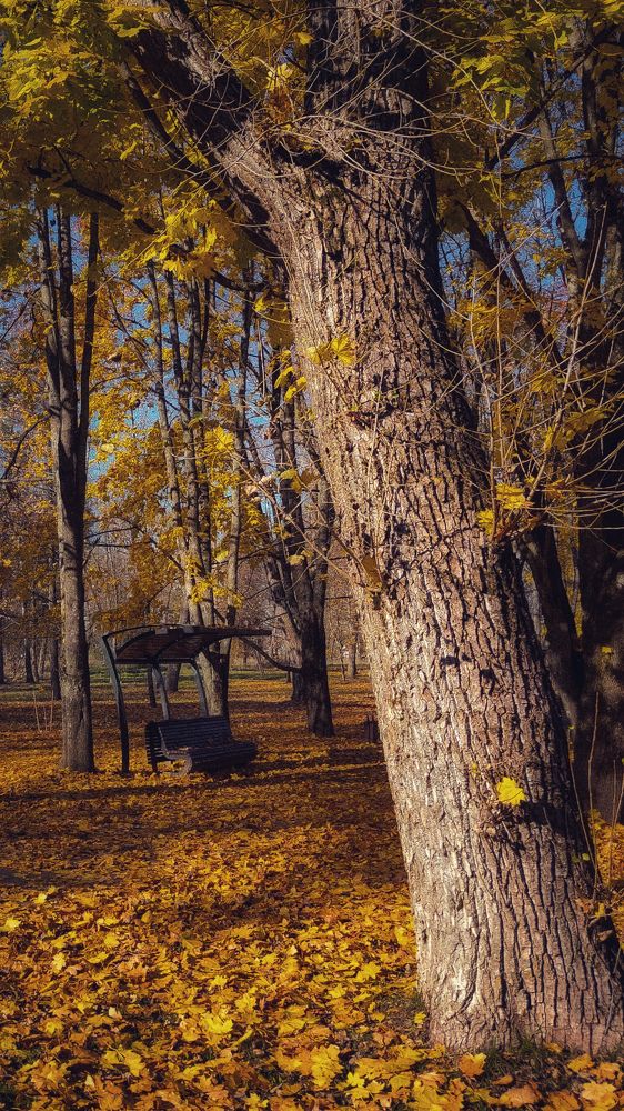 Photograph by Евгения Гродинская