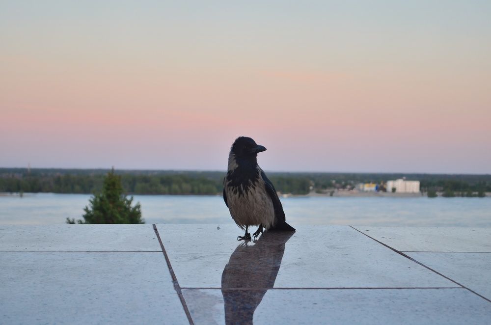 Photograph by Soldatenko Maksim