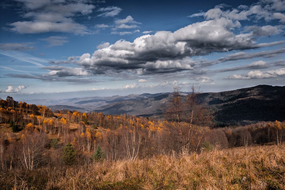 Photograph by Мария