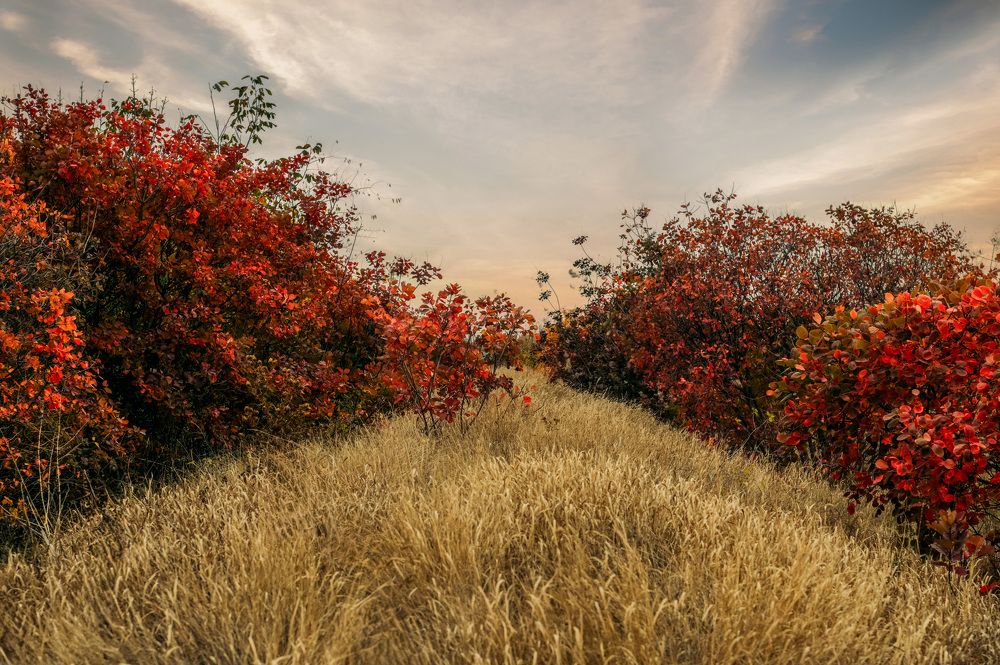 Photograph by Юлия Ковальчук