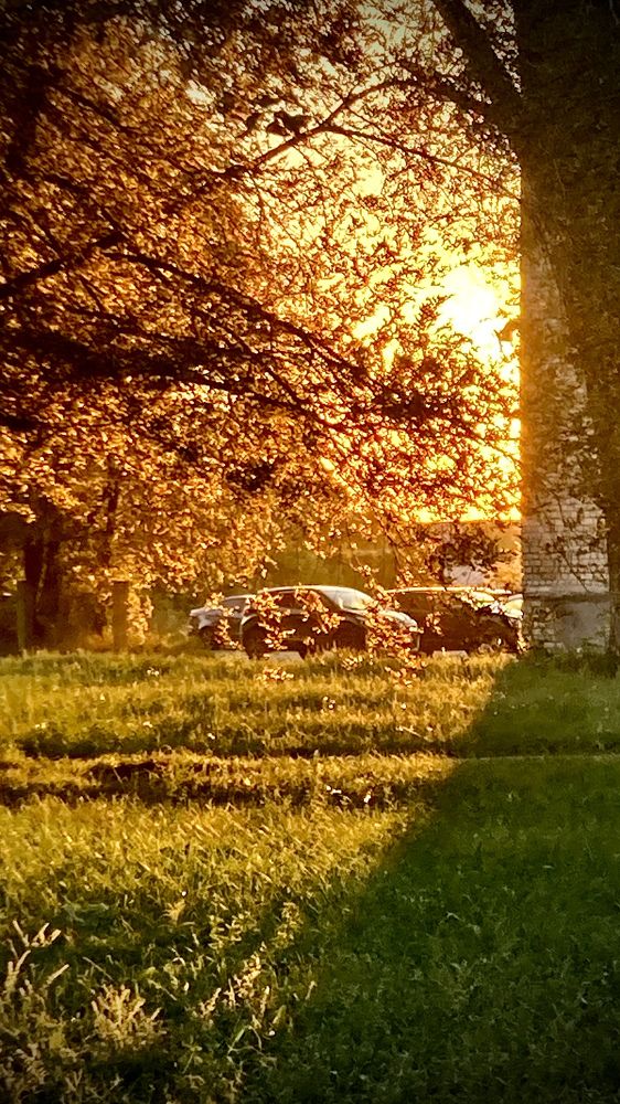 Photograph by Илья Юриков