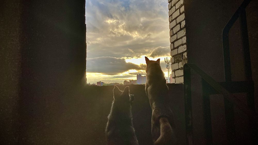 Photograph by Илья Юриков