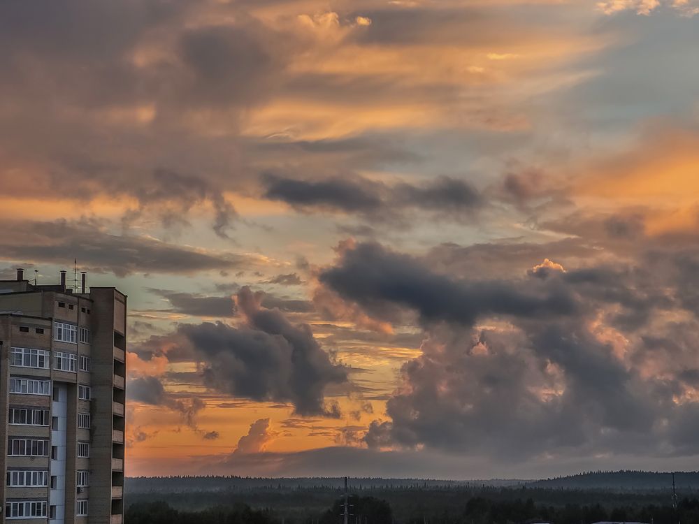Фотография автора Елена Горбатова