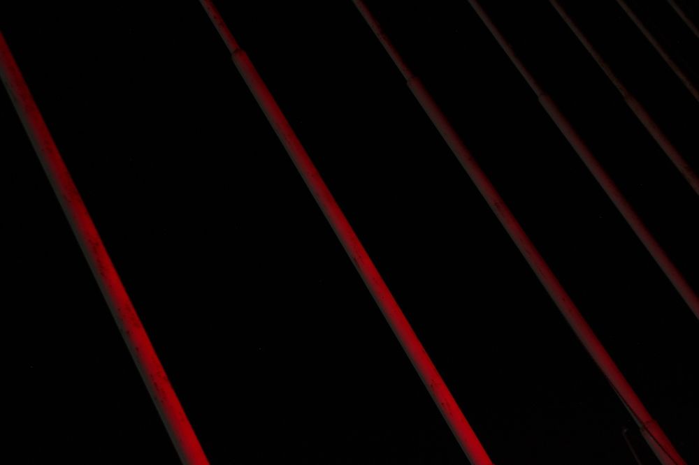 Photograph by Anastasia Kodatenko