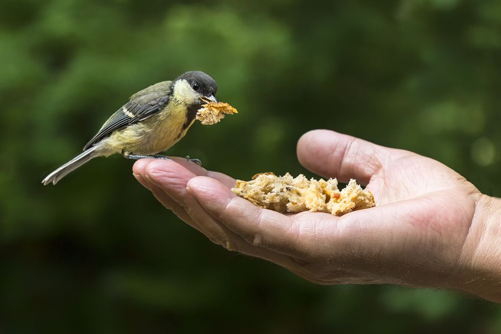 Photograph by Клясюк Галина
