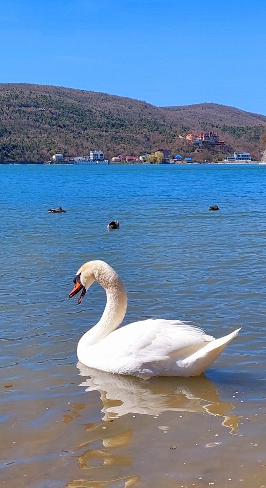 Photograph by Марина Жарикова
