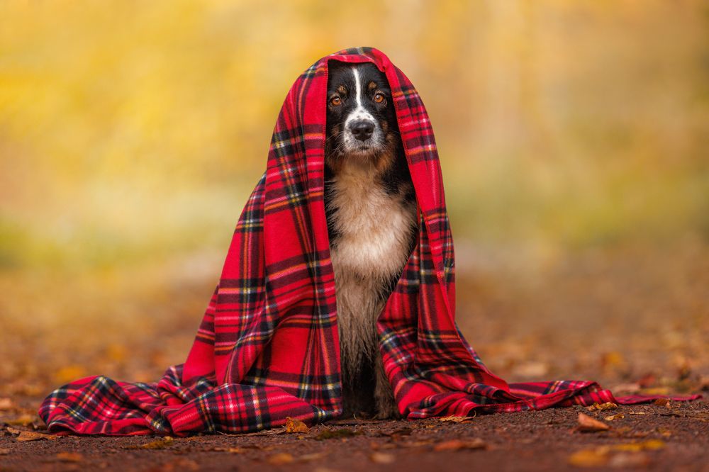 Photograph by Яна Нарбутович