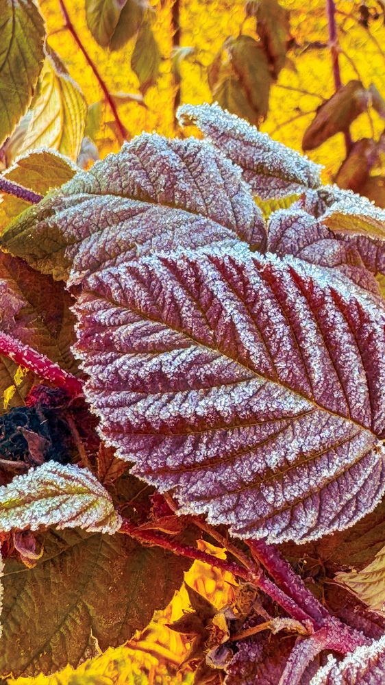 Photograph by Екатерина Слепнева