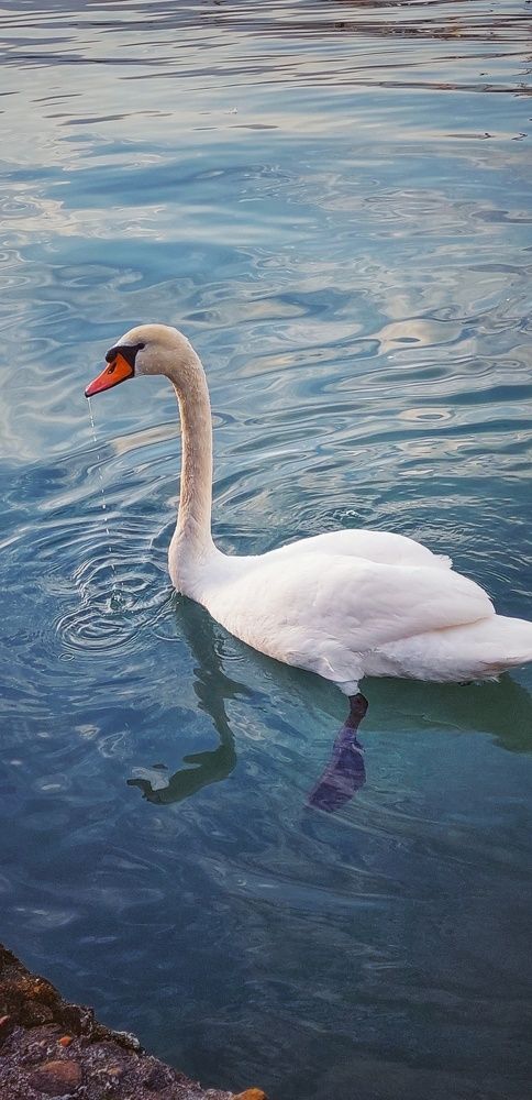 Photograph by Марина Жарикова