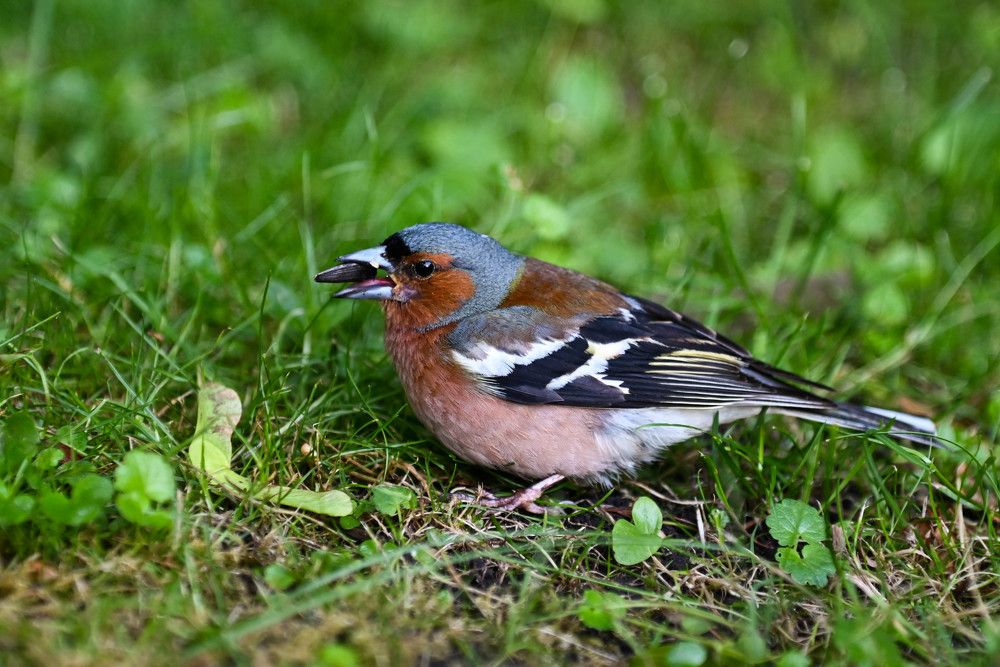 Фотография автора Юлия Кузнецова