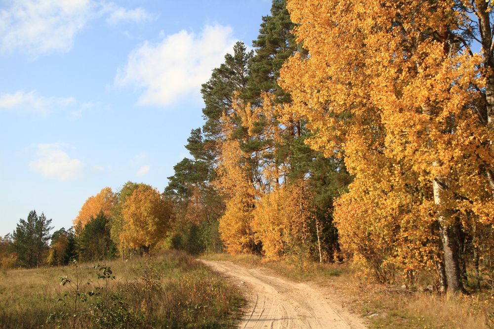 Фотография автора Анастасия Зверева