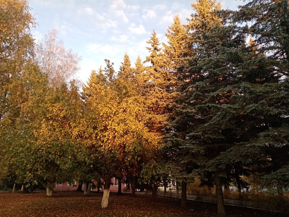 Photograph by Елена Сухорученкова