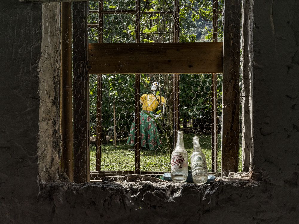 Photograph by Armando López-Guerrero