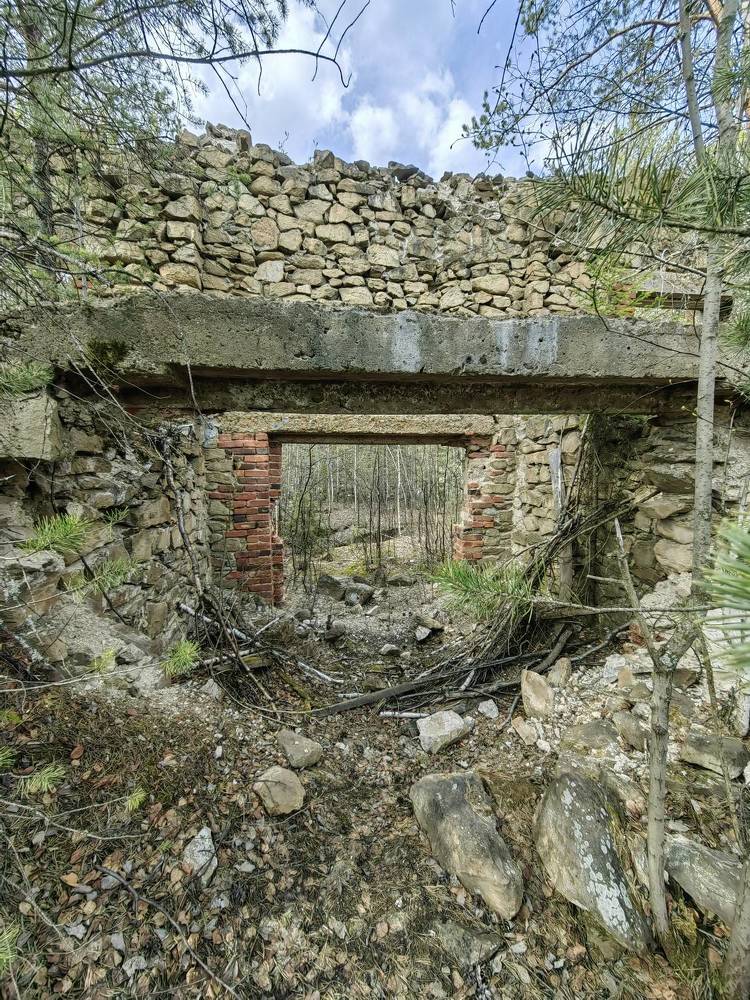 Photograph by Чкареули Светлана