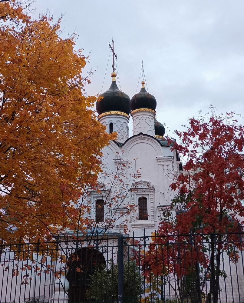 Photograph by Наталья