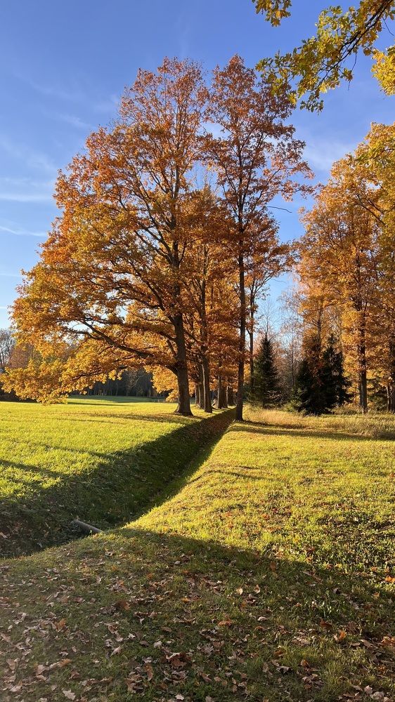 Photograph by Анна Болучевская