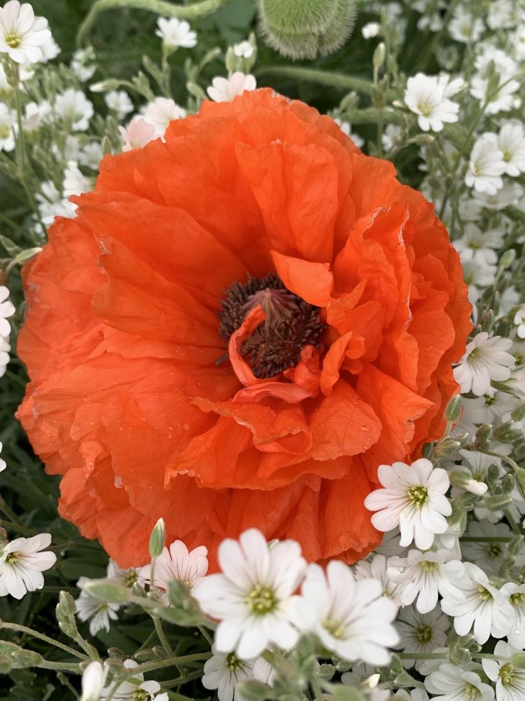 Фотография автора Ирина Шпаковская