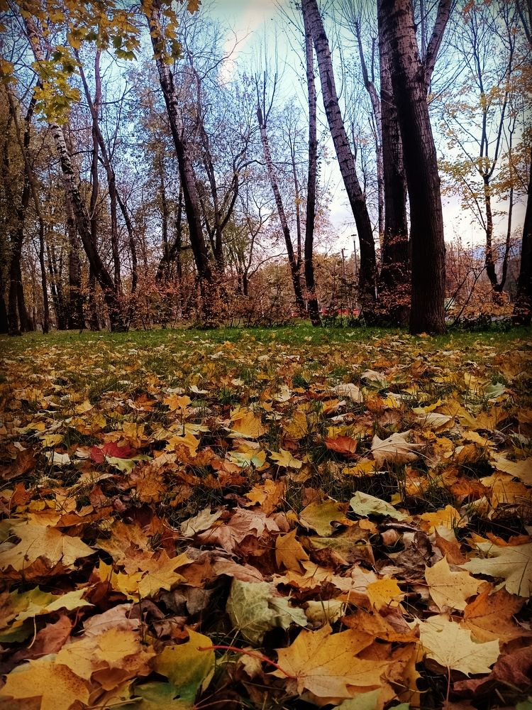 Photograph by Наталья