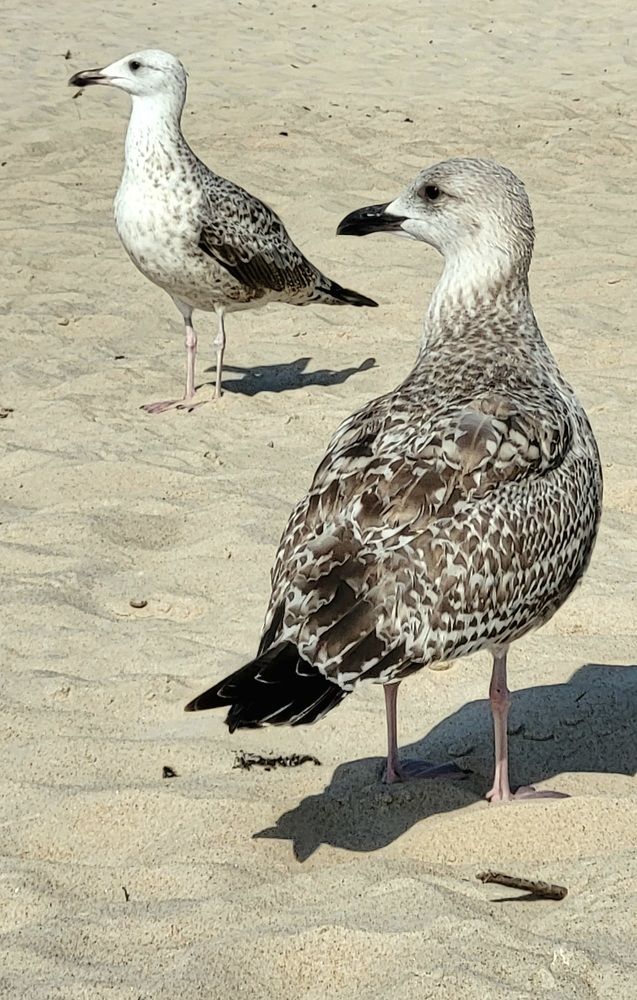 Photograph by Dmitrij Zykunov