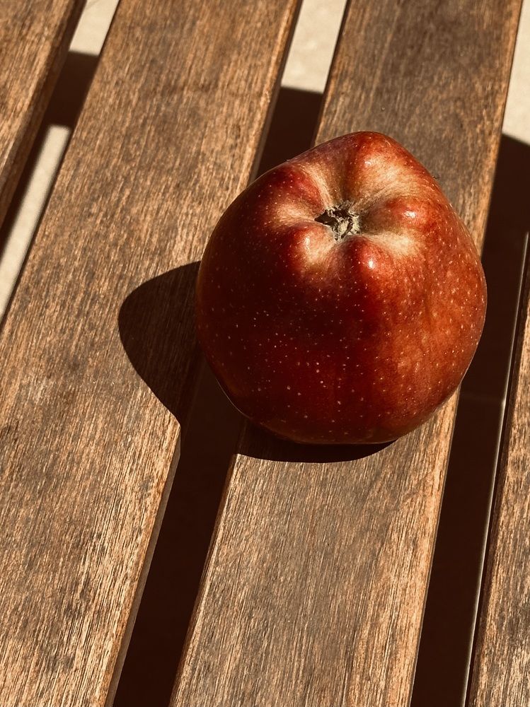 Photograph by Мария