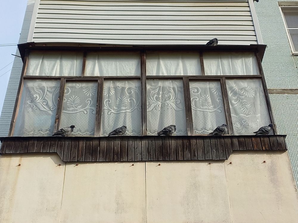 Photograph by Наталья Устюжина