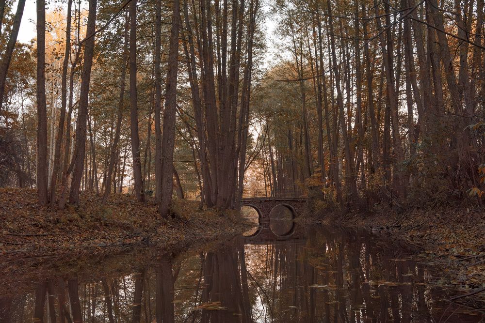 Photograph by Дарья Кончакова