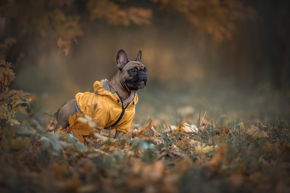 Photograph by Елена Самусенкова