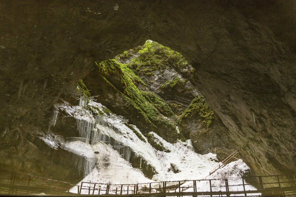 Photograph by Dragos Nedelcu